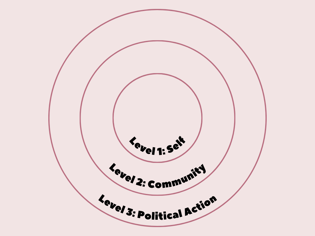 Three concentric circles. The innermost one says "Level 1: Self." The middle one says "Level 2: Community." The outermost one says "Level 3: Political Action."